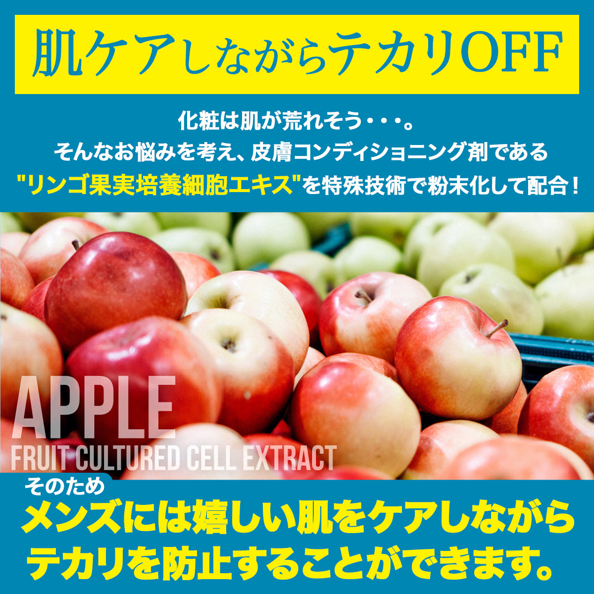 OIL BLOCK POWDER|テカリを抑え、さらりと清潔に。|テカリ防止パウダー